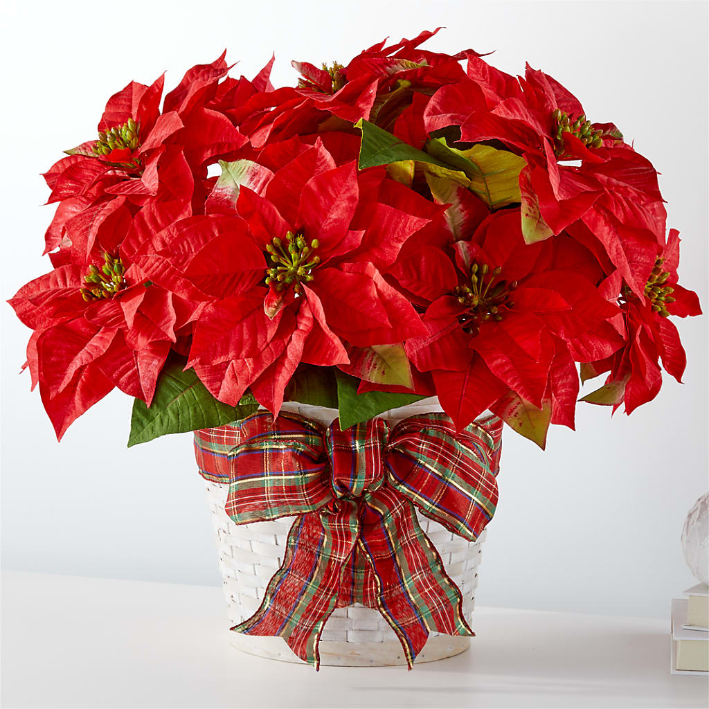 Happiest Holidays Poinsettia – Yadilynn Flowers Llc, Orange CA