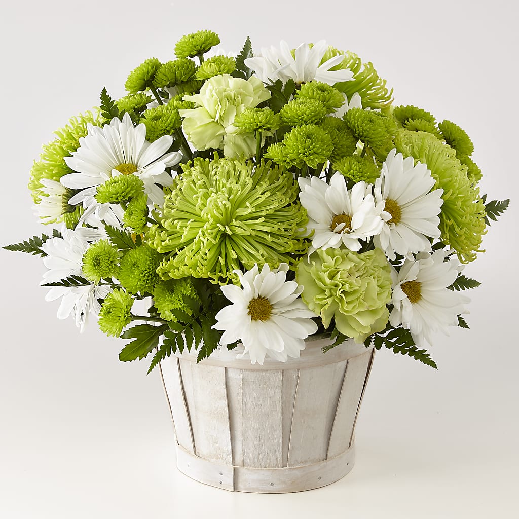 Lucky Charm Basket (Standard) – Yadilynn Flowers Llc, Orange CA