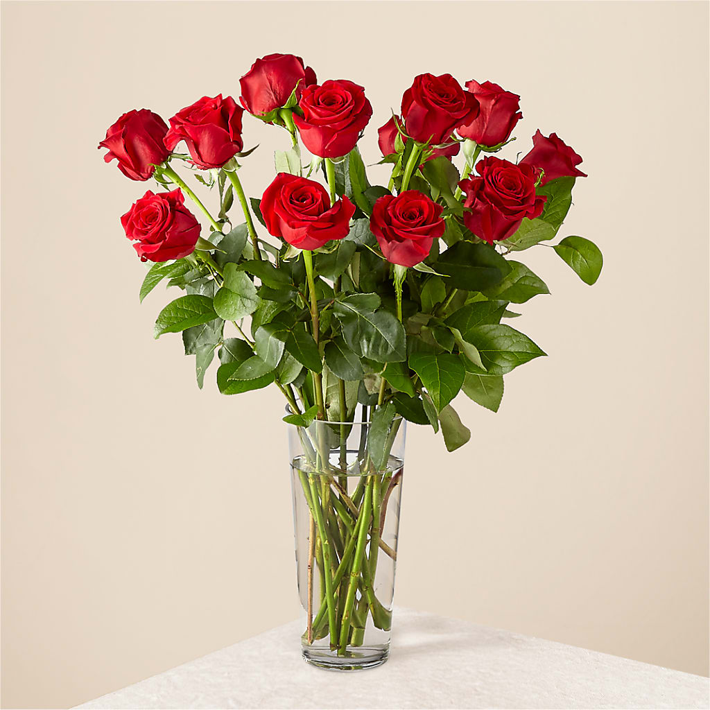 Long Stem Red Rose Bouquet – Yadilynn Flowers Llc, Orange CA