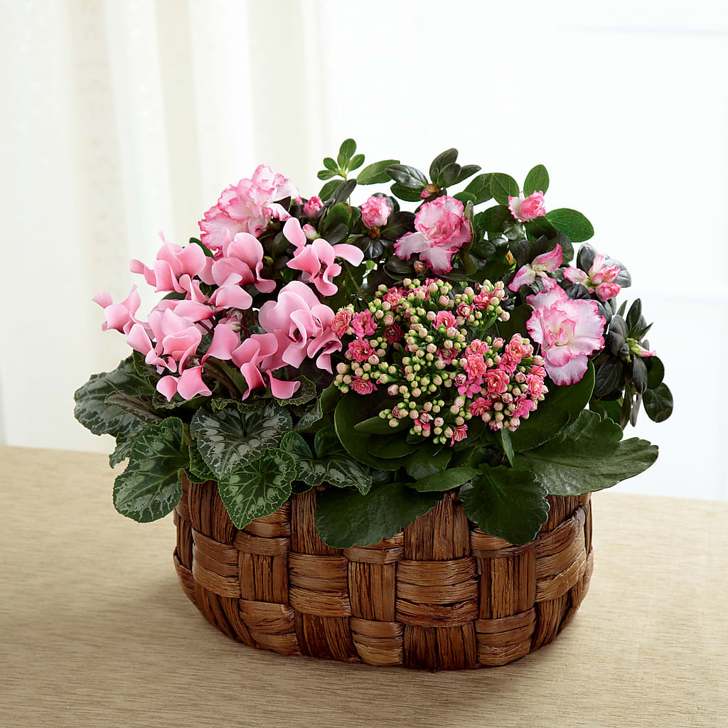 Pink Assortment – Yadilynn Flowers Llc, Orange CA