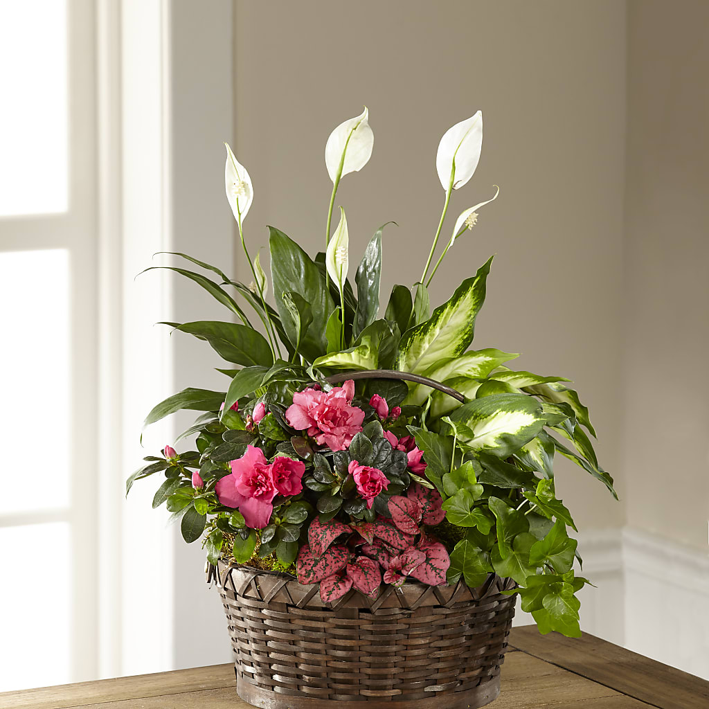 Dream in Pink Dishgarden – Yadilynn Flowers Llc, Orange CA