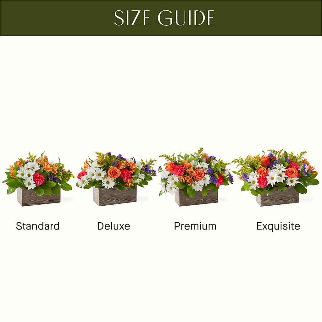 Oopsie Daisy Box Bouquet – Yadilynn Flowers Llc, Orange CA