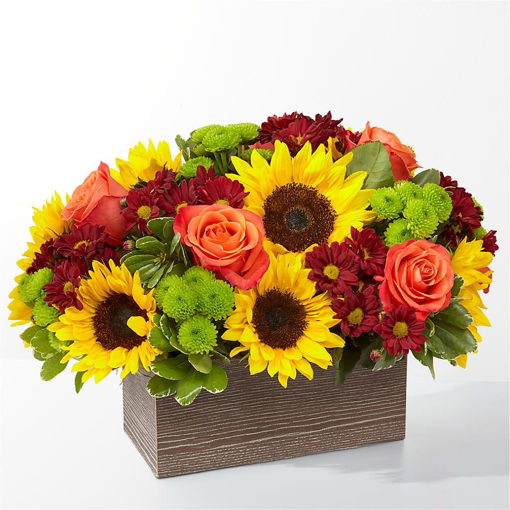 Happy Harvest Garden – Yadilynn Flowers Llc, Orange CA