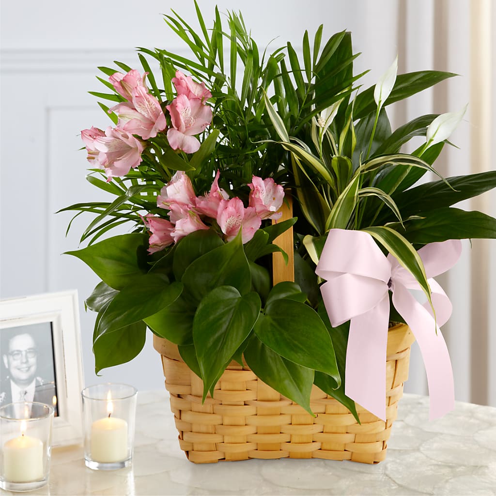 Living Spirit Dishgarden – Yadilynn Flowers Llc, Orange CA