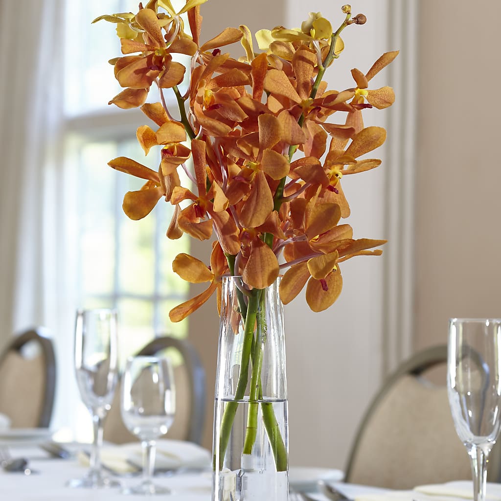 Orange Mokara Bud Vase – Yadilynn Flowers Llc, Orange CA