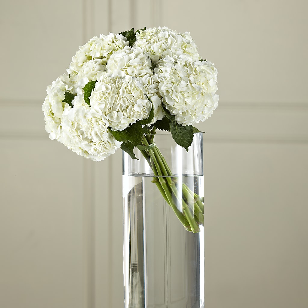White Hydrangea Hand-Tied Bouquet – Yadilynn Flowers Llc, Orange CA