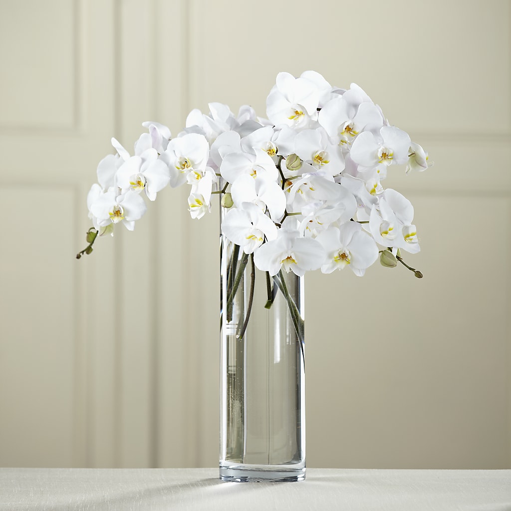 White Phalaenopsis Bouquet – Yadilynn Flowers Llc, Orange CA