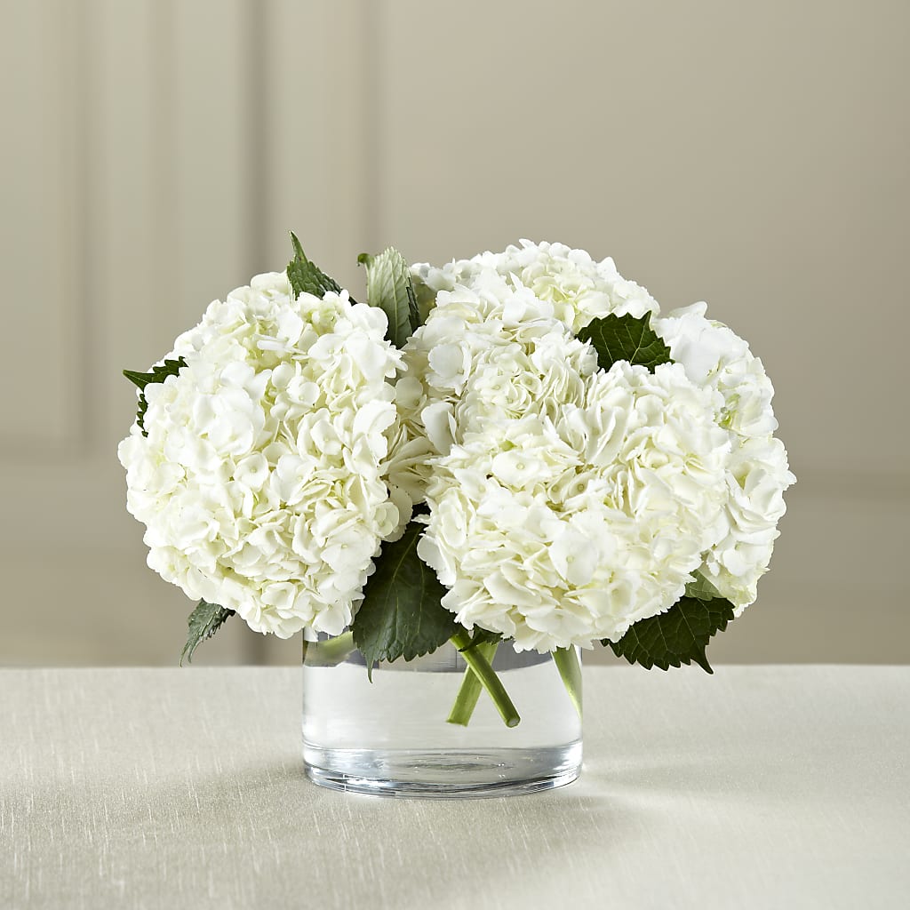 White Hydrangea Bouquet – Yadilynn Flowers Llc, Orange CA