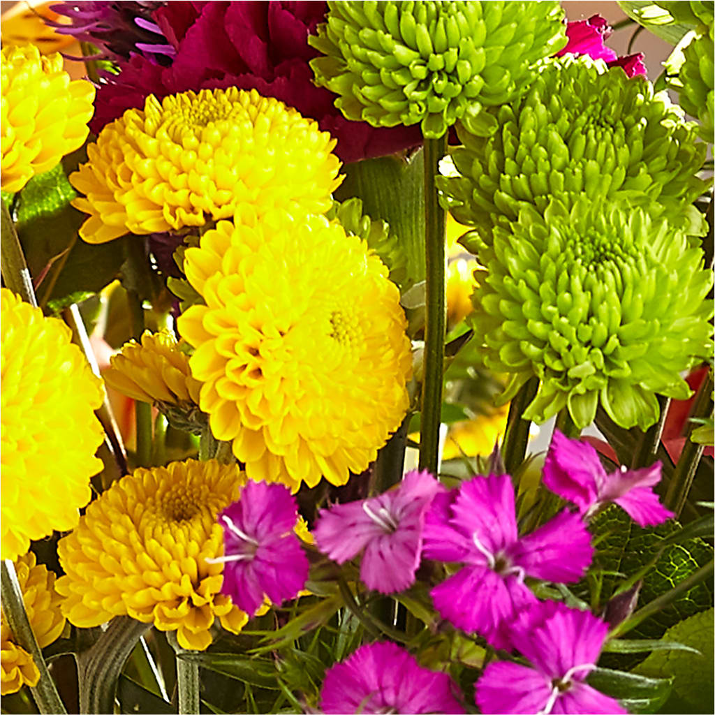Bold & Bright – A Florist Original –  Yadilynn Flowers Llc, Orange CA
