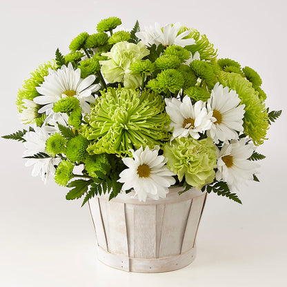 Lucky Charm Basket (Standard) –  Yadilynn Flowers Llc, Orange CA