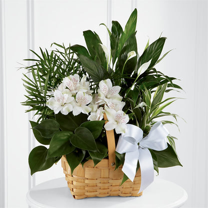 Peace & Serenity Dishgarden –  Yadilynn Flowers Llc, Orange CA
