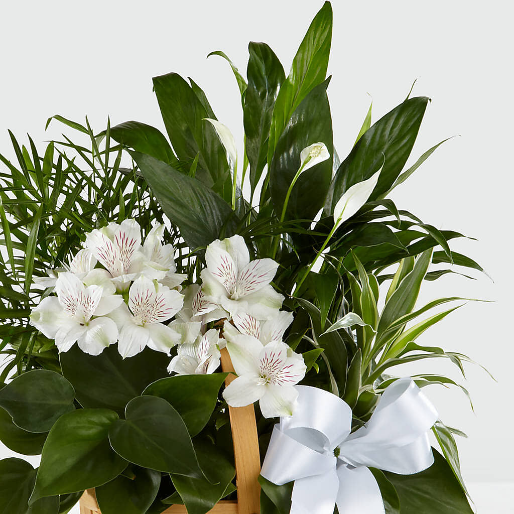 Peace & Serenity Dishgarden –  Yadilynn Flowers Llc, Orange CA