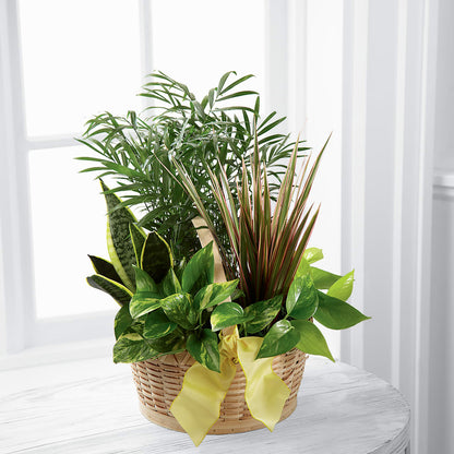 French Garden –  Yadilynn Flowers Llc, Orange CA