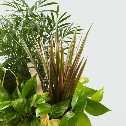 French Garden –  Yadilynn Flowers Llc, Orange CA