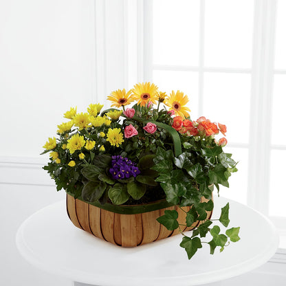 Gentle Blossoms Basket –  Yadilynn Flowers Llc, Orange CA