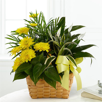 Loving Light Dishgarden –  Yadilynn Flowers Llc, Orange CA
