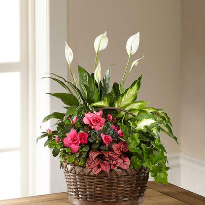 Dream in Pink Dishgarden –  Yadilynn Flowers Llc, Orange CA