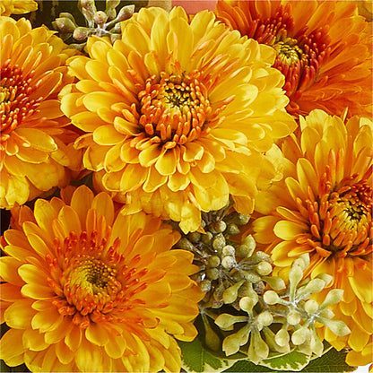 Peachy Pumpkin –  Yadilynn Flowers Llc, Orange CA