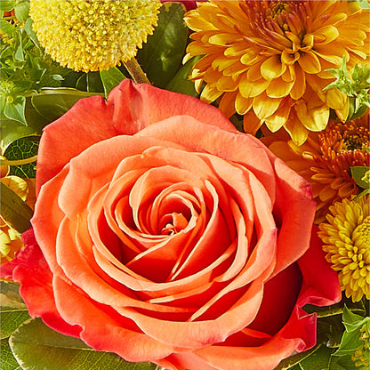 Gourdgeous Pumpkin –  Yadilynn Flowers Llc, Orange CA