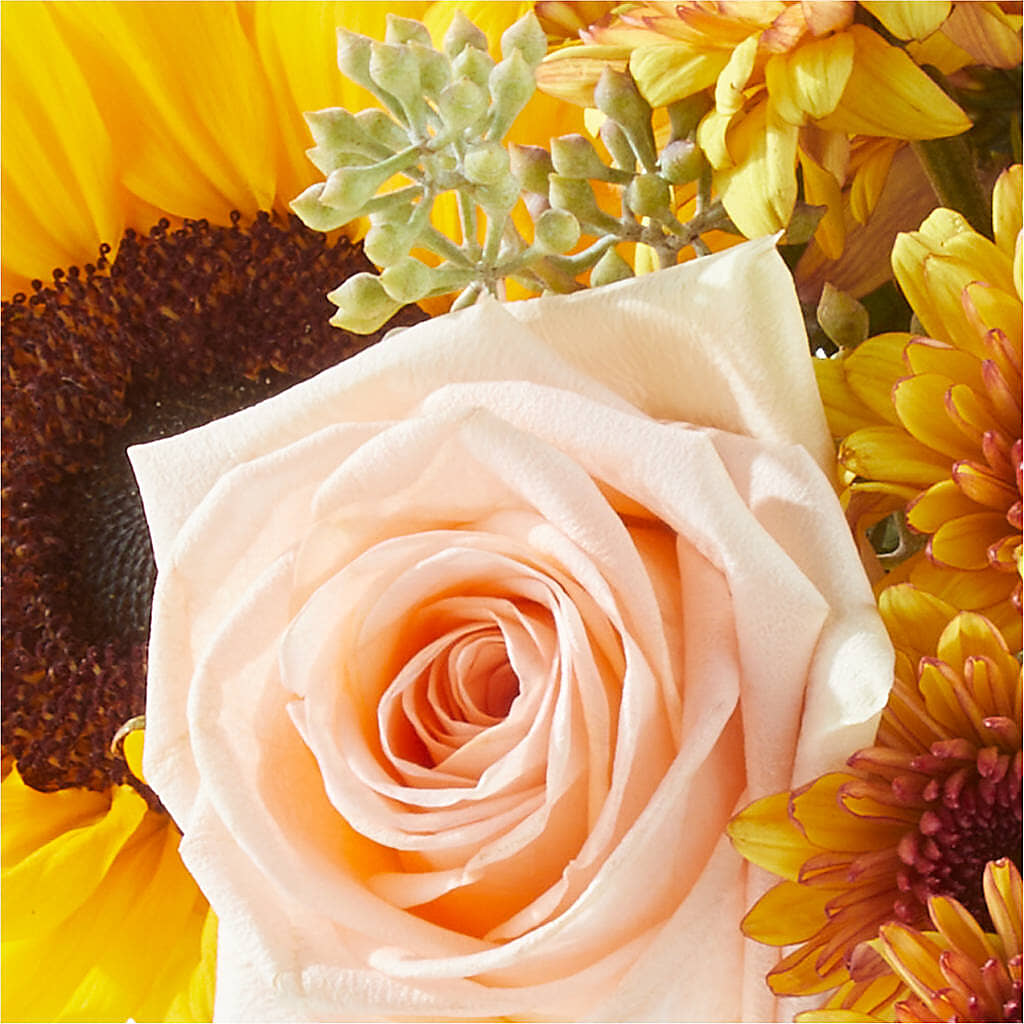 Pumpkin to Talk About Bouquet –  Yadilynn Flowers Llc, Orange CA