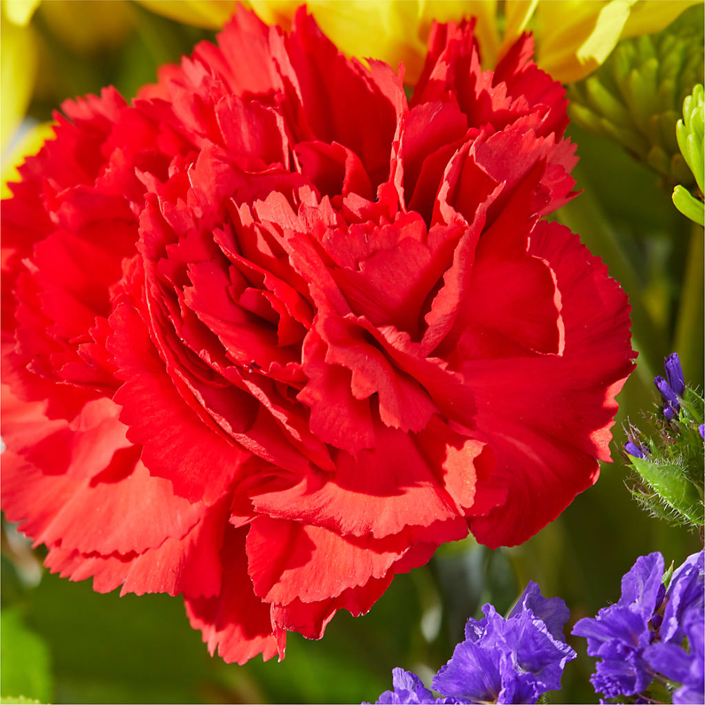 Brighter Days Bouquet –  Yadilynn Flowers Llc, Orange CA