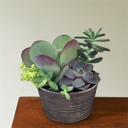 Lush Succulent Garden –  Yadilynn Flowers Llc, Orange CA