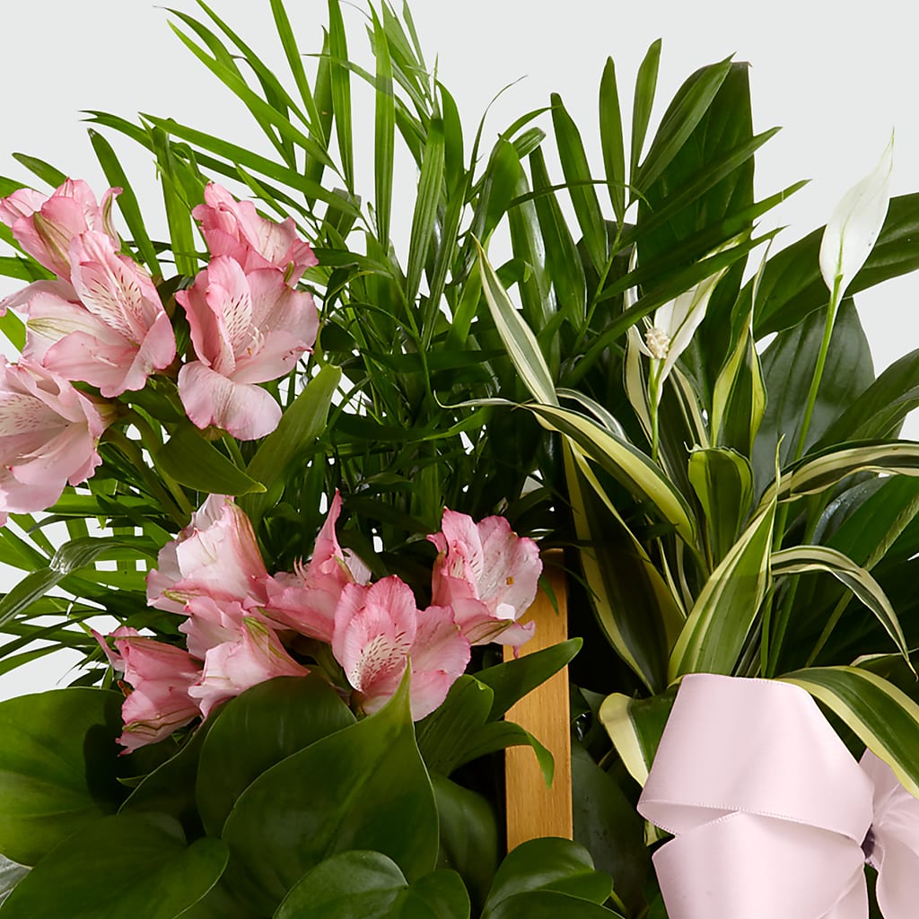Living Spirit Dishgarden –  Yadilynn Flowers Llc, Orange CA