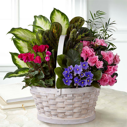 Peaceful Garden Planter –  Yadilynn Flowers Llc, Orange CA