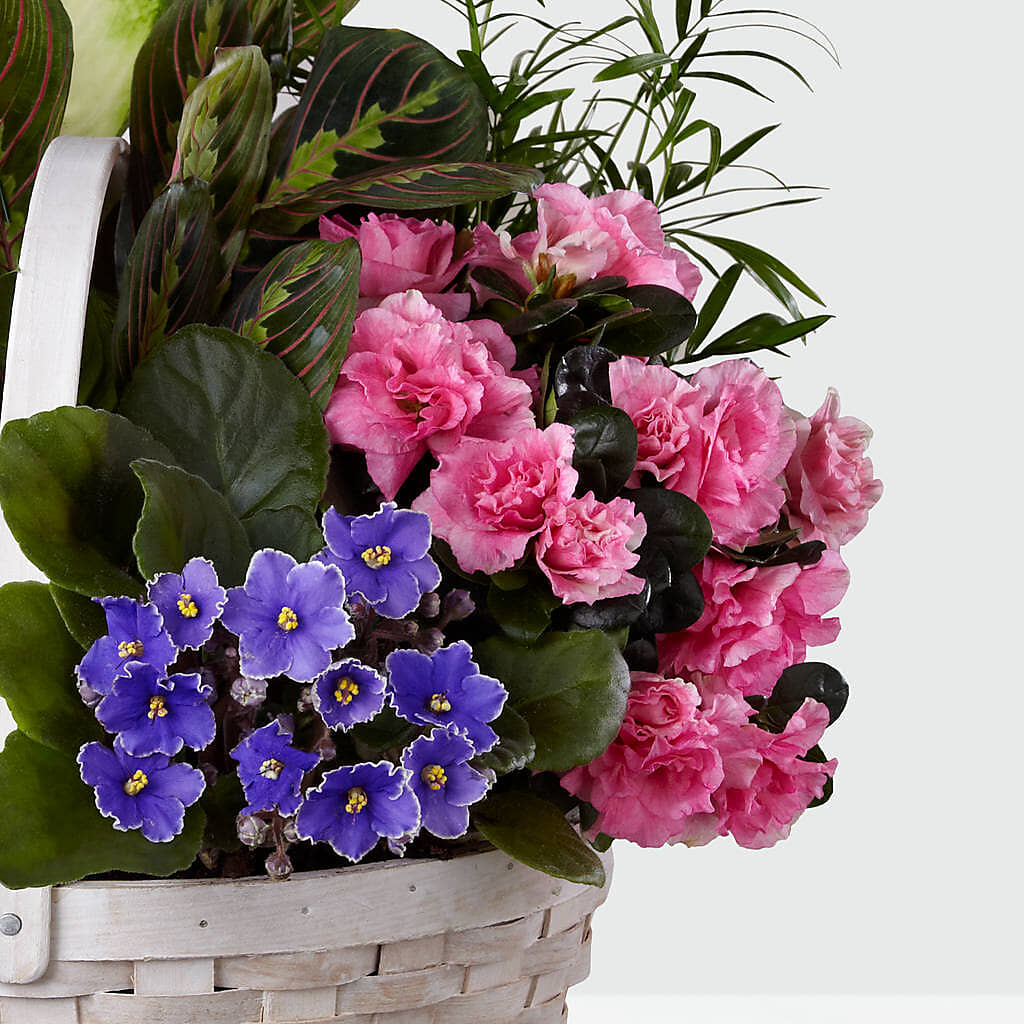 Peaceful Garden Planter –  Yadilynn Flowers Llc, Orange CA