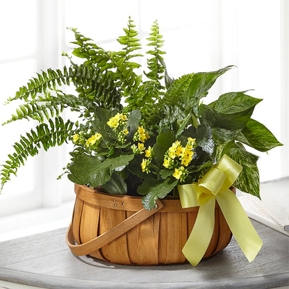 Always Dear Dishgarden –  Yadilynn Flowers Llc, Orange CA