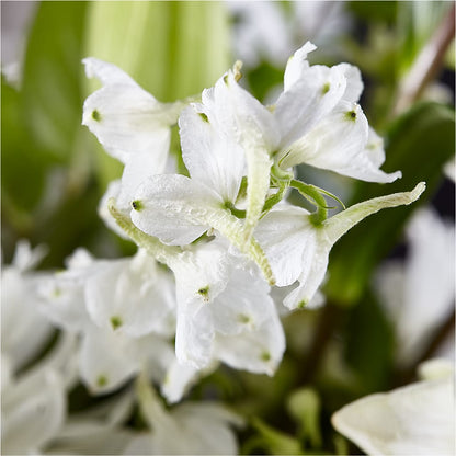 Classic Ivory – A Florist Original –  Yadilynn Flowers Llc, Orange CA