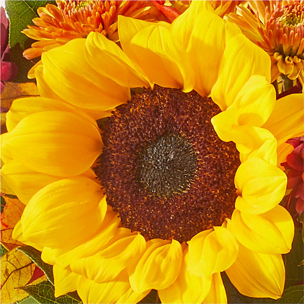 Sunny Side Bouquet –  Yadilynn Flowers Llc, Orange CA