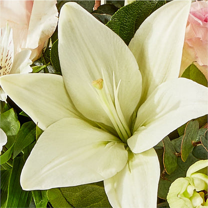Ballet Slippers Bouquet –  Yadilynn Flowers Llc, Orange CA