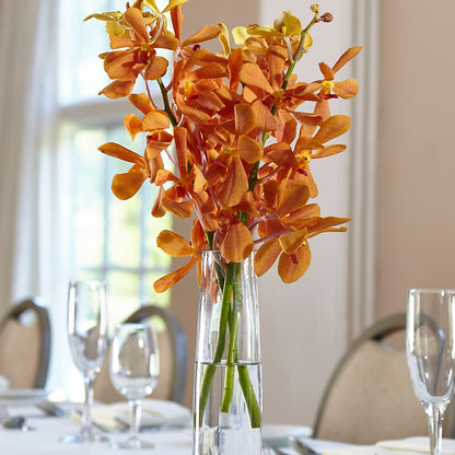 Orange Mokara Bud Vase –  Yadilynn Flowers Llc, Orange CA