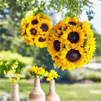Sublime Garden Hanging Arrangement –  Yadilynn Flowers Llc, Orange CA