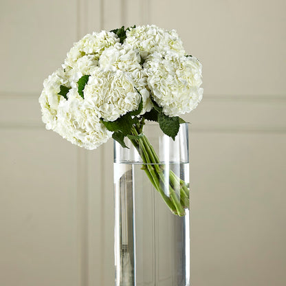 White Hydrangea Hand-Tied Bouquet –  Yadilynn Flowers Llc, Orange CA