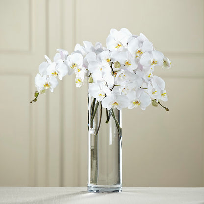 White Phalaenopsis Bouquet –  Yadilynn Flowers Llc, Orange CA