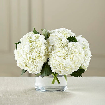White Hydrangea Bouquet –  Yadilynn Flowers Llc, Orange CA